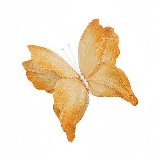 Farfalla carta gigante - di,
