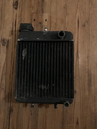 Radiatore aprilia red rose - aprilia,