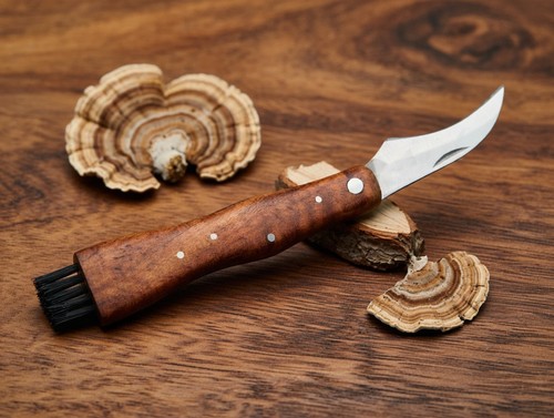 Coltello per funghi con - coltello,