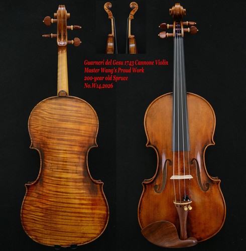 Guarneri violino maestro - guarneri,