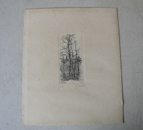 Stampa prova autore di anna - ,