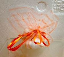 STOCK 50 PEZZI economico Velo