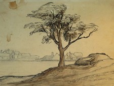 da ap. REMBRANDT BELLISSIMO