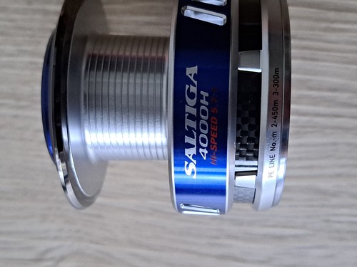 Daiwa saltiga 4000 2010 - -, h