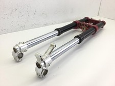 FORCELLA FODERI STELI E PIASTRA INFERIORE BETA RR ENDURO 4T 450 2010 ZD3E3020010