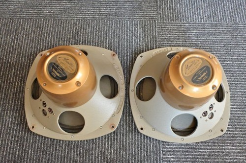 Coppia driver altoparlanti