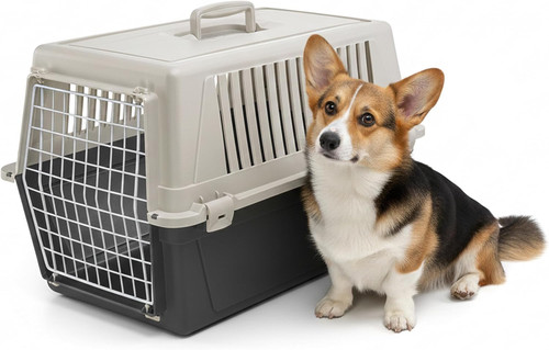 Trasportino per cani - trasportino,