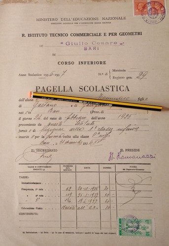 Pagella scolastica anno - pagella,