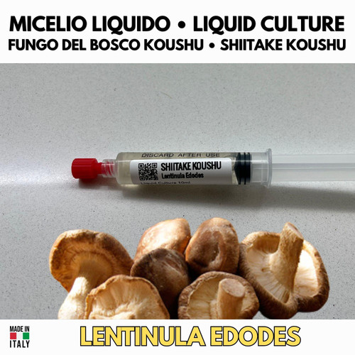 Micelio liquido shiitake - liquido,