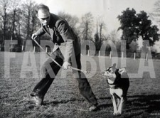 Foto vintage Animali, Cani, Addestramento cani, 1952, stampa 20 x 15 cm