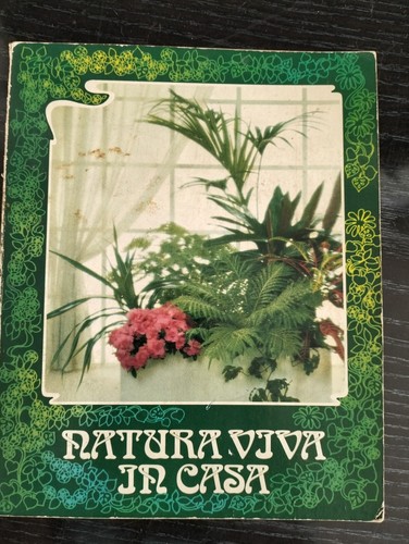 Natura viva casa - natura,