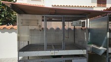 Voliera per Uccelli 150x80x100 cm