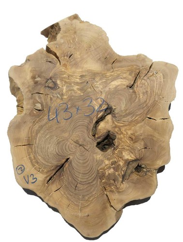 Legno radica di ulivo - di,