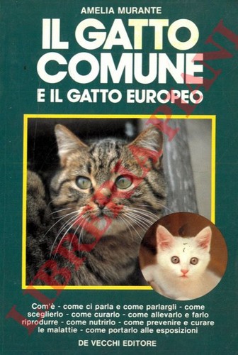 Murante amelia il gatto - -,