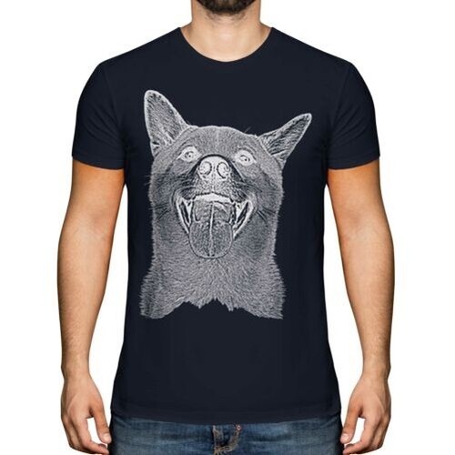 Shiba inu schizzo uomo - shiba,