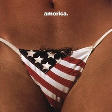 The Black Crowes Amorica