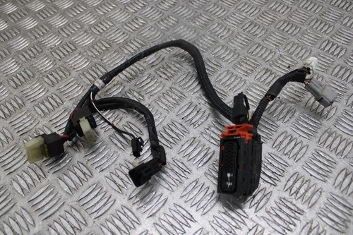 Cablaggio suzuki sfv - cablaggio,