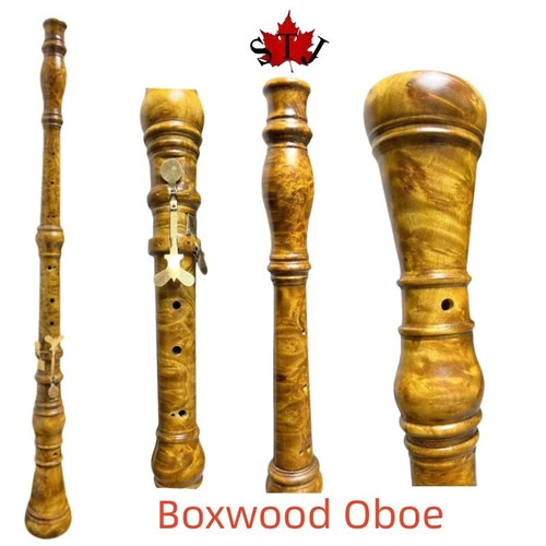 Oboe professionale stile