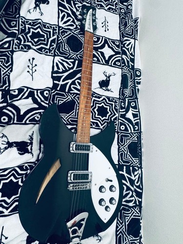 Rickenbacker 330 semi hollow - rickenbacker, semi-hollow