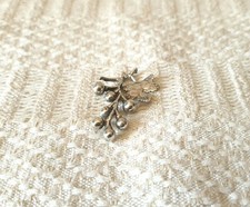 Miniatura di grappolo uva