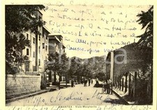 1953 AMANTEA (CS) Viale Margherita *Cartolina a Cecilia MORLANI CARRARA BEROA
