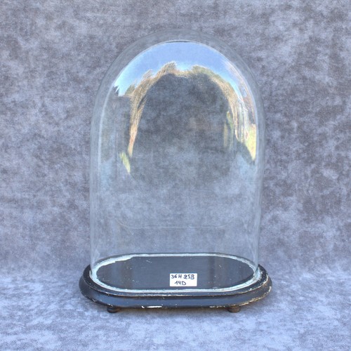 Antica cupola ovale - , vetro