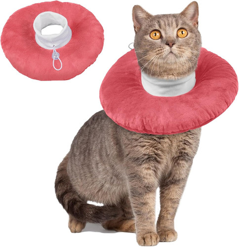 Collare protettivo gatto - collare,