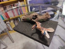 PAPO 55034 Archeopteryx