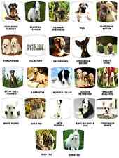 Lampadario Da Tavolo Per