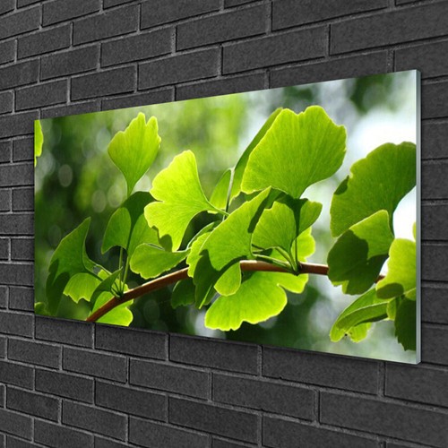 Quadro stampa vetro wall - stampa,