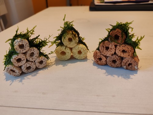 Decorazione acquario con - decorazione,