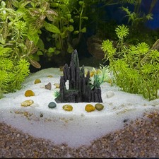  Decorazione vasca pesci