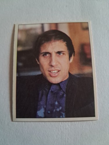 Figurina panini cantanti 45 - panini,
