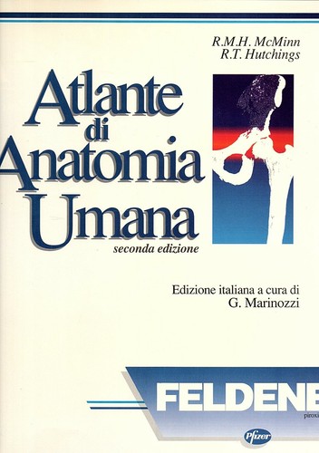 Atlante anatomia umana - di,