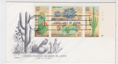 Turtlestradingpost desert - turtlestradingpost,