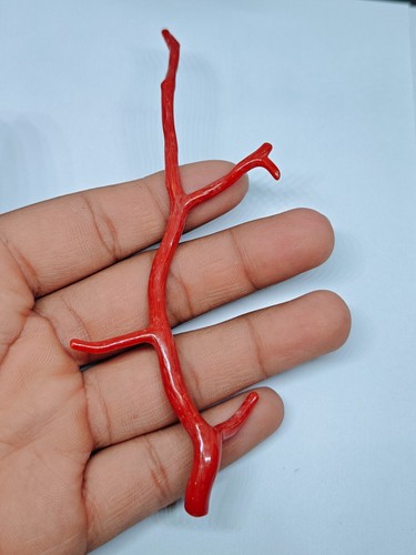 Ramo lucido corallo rosso