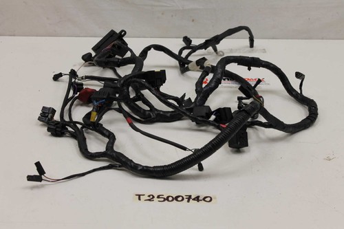 Triumph sprint 955 04 - sprint, 99