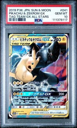 Pokémon pikachu zekrom - pokémon,