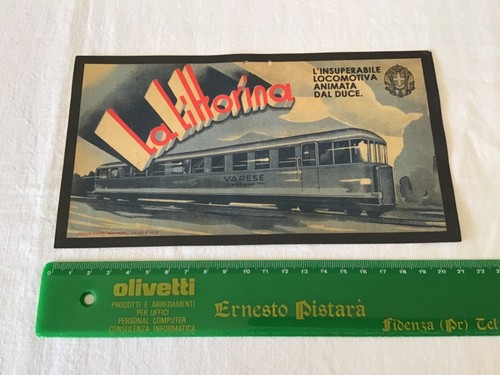 Littorina locomotiva - littorina,