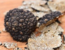 Tartufo nero estivo intero - tartufo,