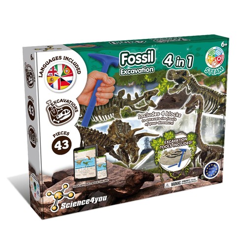Kit dinosauri fossili - kit,