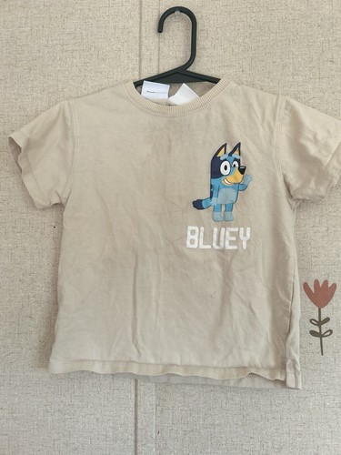 Zara bluey 3 - zara,