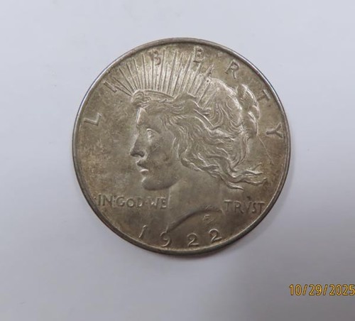 Usa large silver peace - large,