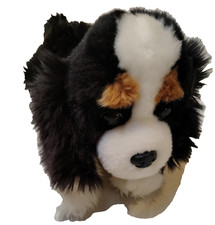 Aurora Cucciolo Cane Cavalier