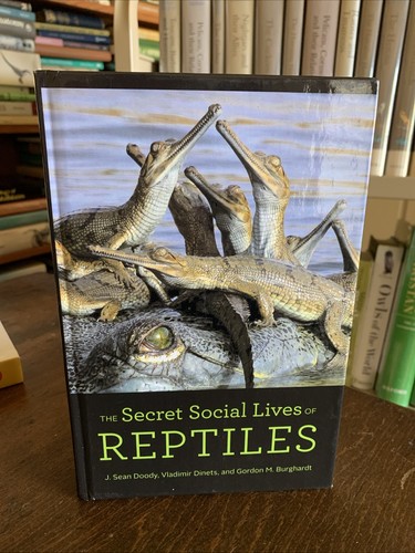Secret social lives - social, of