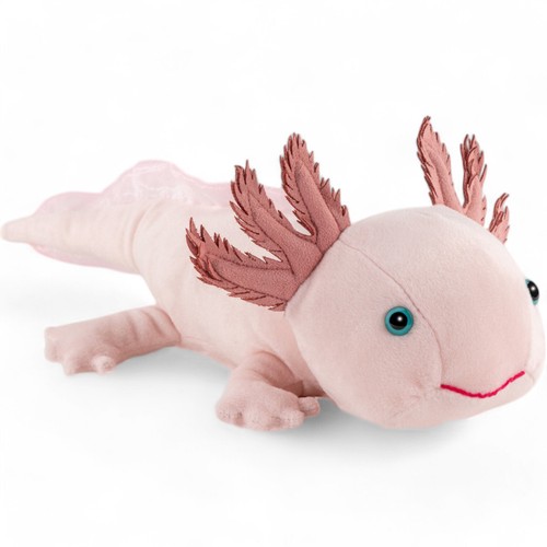 Carl dick axolotl - dick,