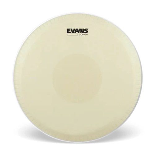 Testina batteria evans - testina,