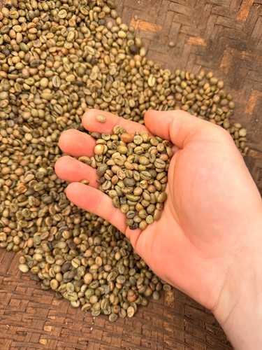 Caffè grani verde - caffè,