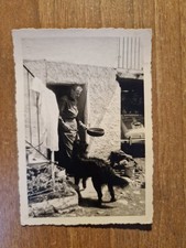 22225.   Fotografia donna cane