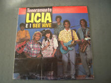 DISCO VINILE 33 GIRI